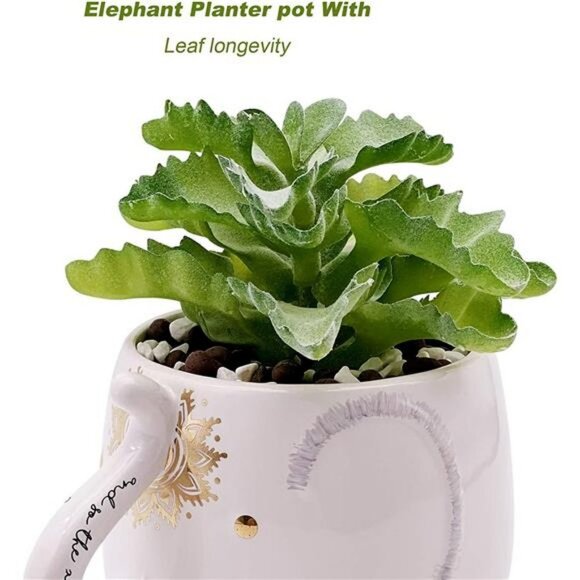 Artificial Succulent with Planter Pot and Ceramic Planter Pot - Picture 5 of 7